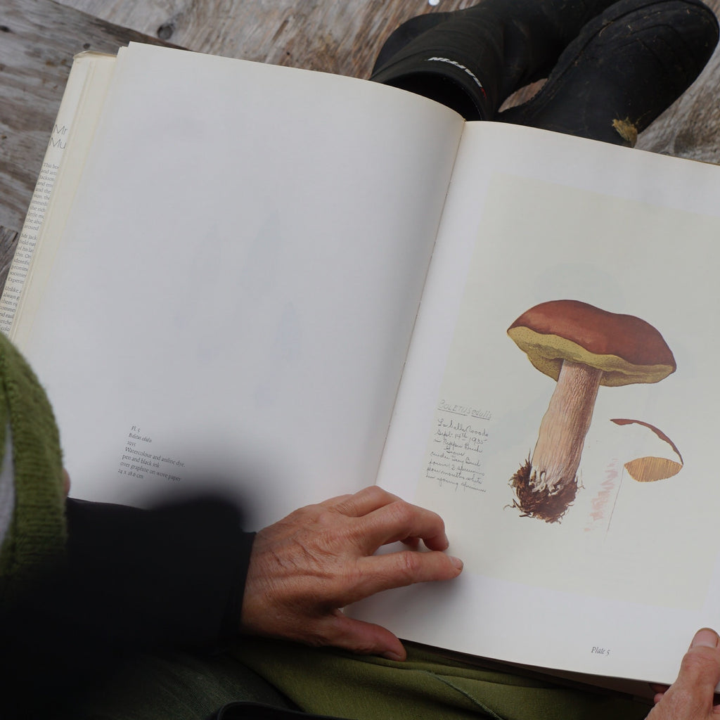 14 Books That Every Mushroom Lover Needs to Read at Least Once